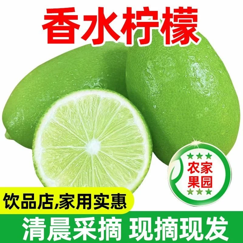 广东香水柠檬无籽青柠檬新鲜水果青柠檬海南香水柠檬奶茶店饮料