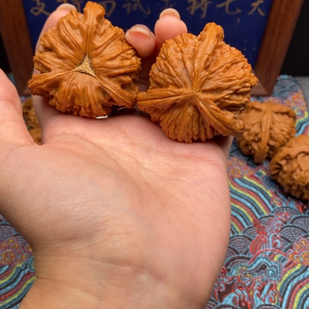 【闪购商品】航*白狮