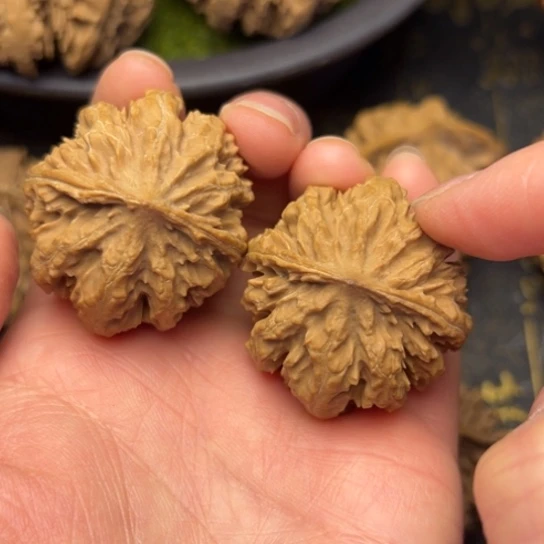 文玩核桃把件秦岭核桃2