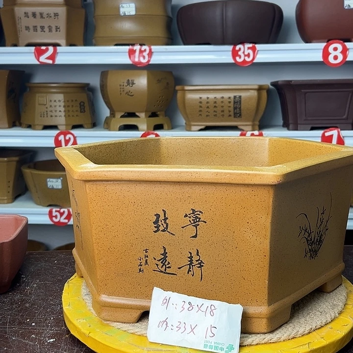 紫砂花盆你在一起