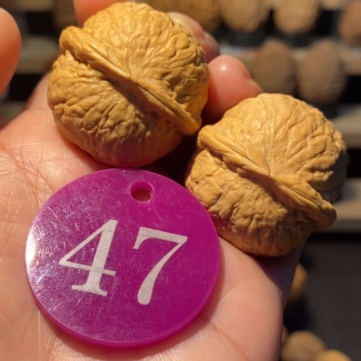 木质类手捧小地雷33尺寸，边肚同尺