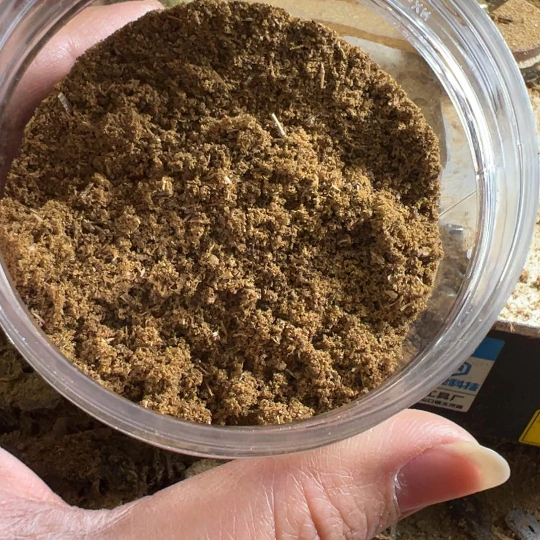 沉水级凹身品种锯子粉50克装