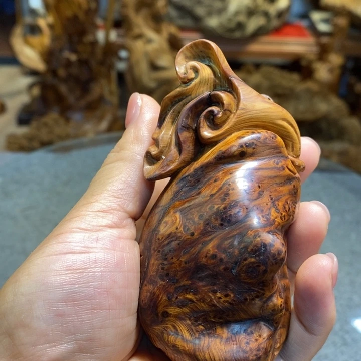 柏木（崖柏）太行崖柏