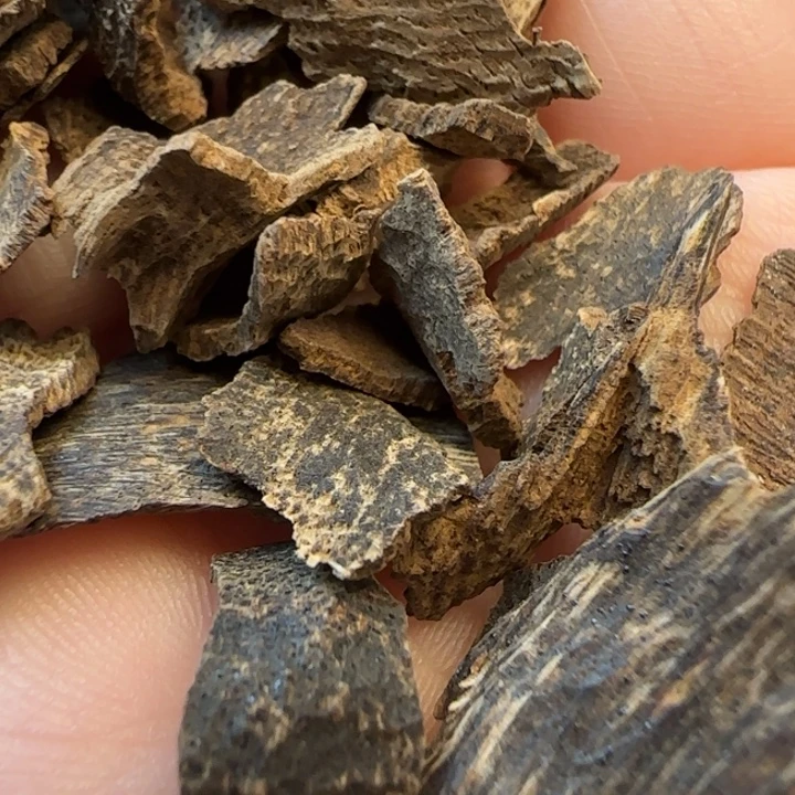 沉香摆件海南野生沉水包头2克