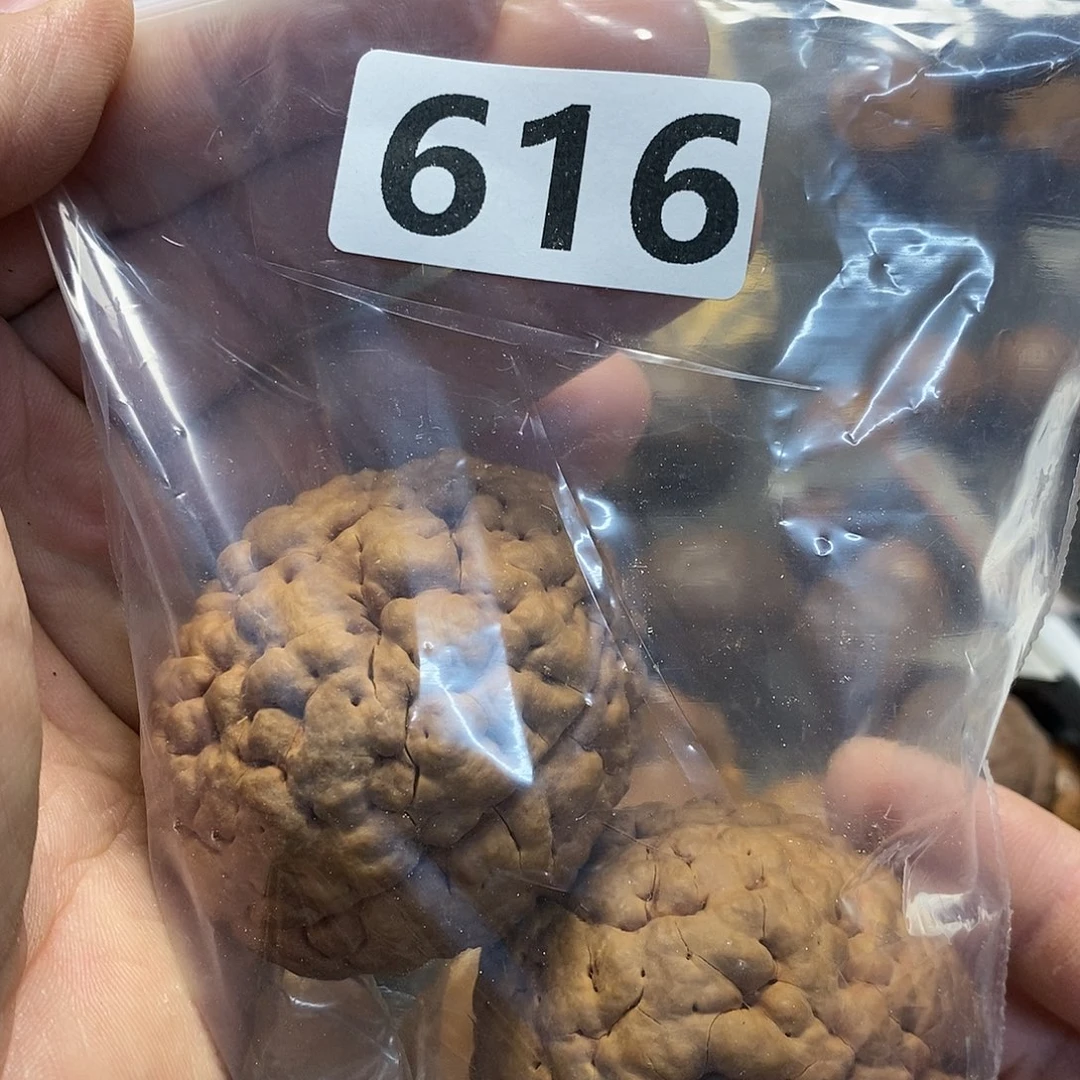 橄榄核吊坠用****9文化交流