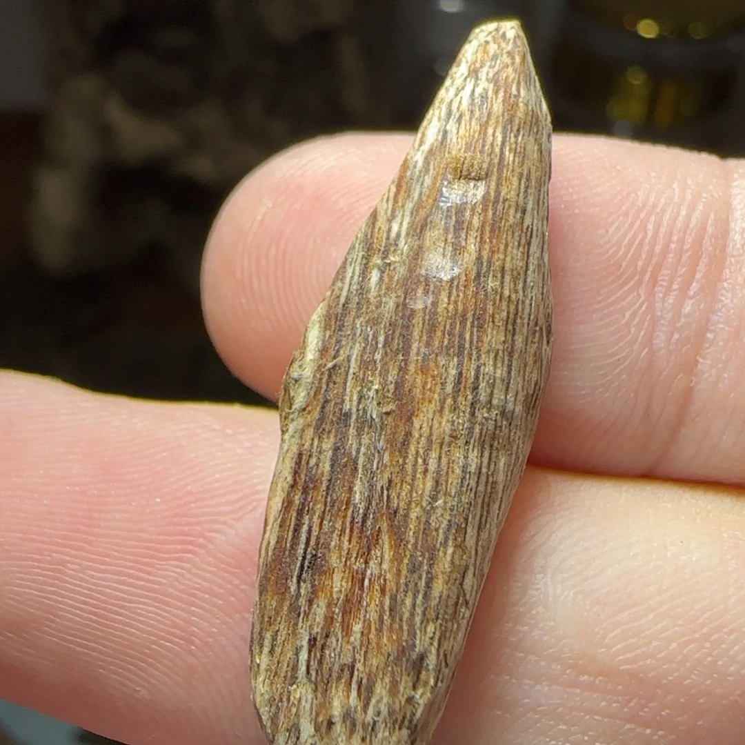 霏***常沉香沉香碎屑海南瓜子标本