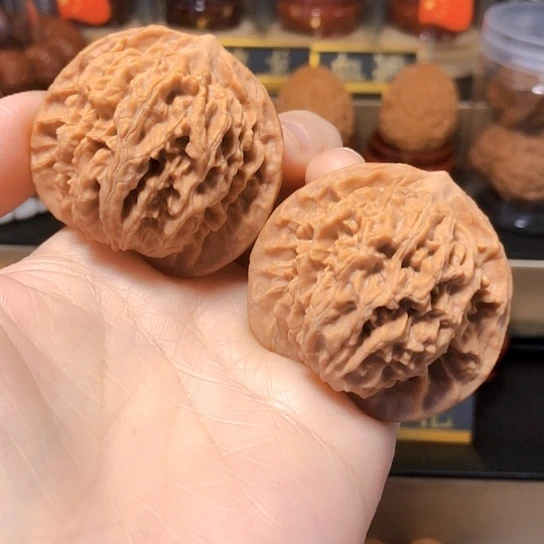 野生小众，盘龙纹