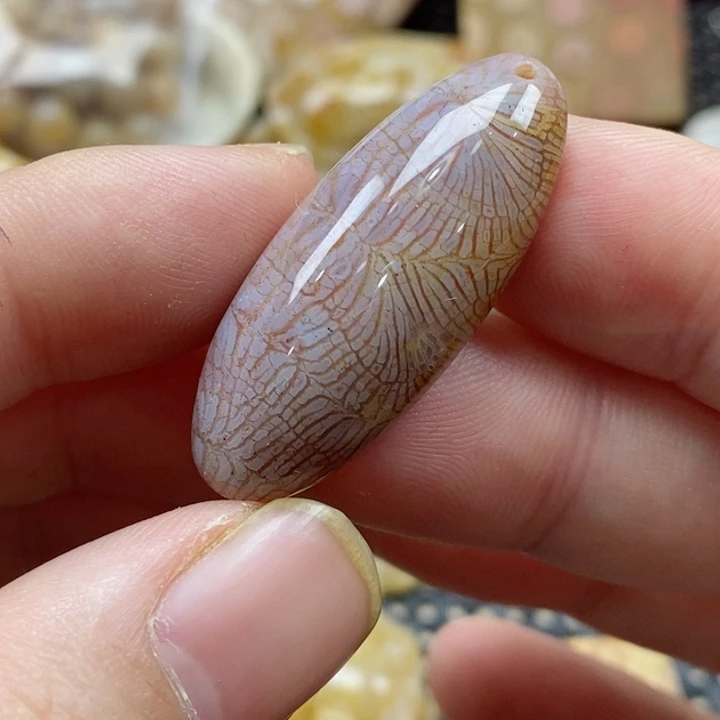 石英质玉颈饰未镶嵌