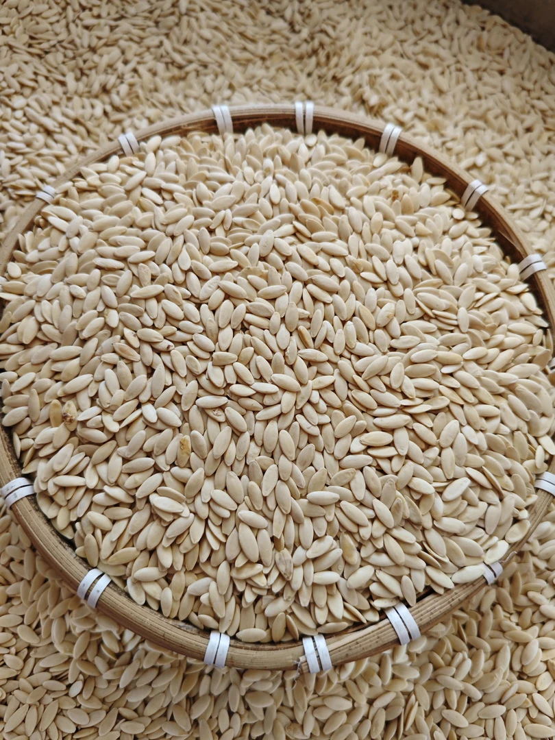 东北黑土地种植优质旱黄瓜籽（非手选）24年新货