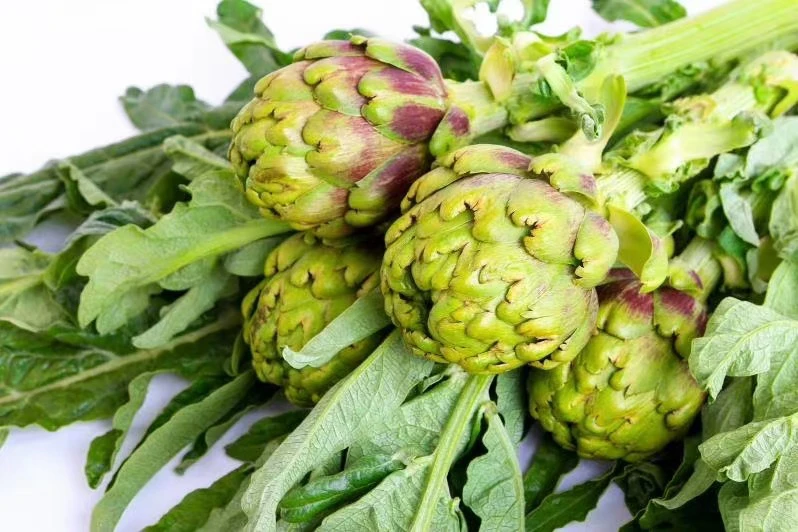 【超值必屯】中果云南特产朝鲜蓟洋蓟营养蔬菜现摘现发