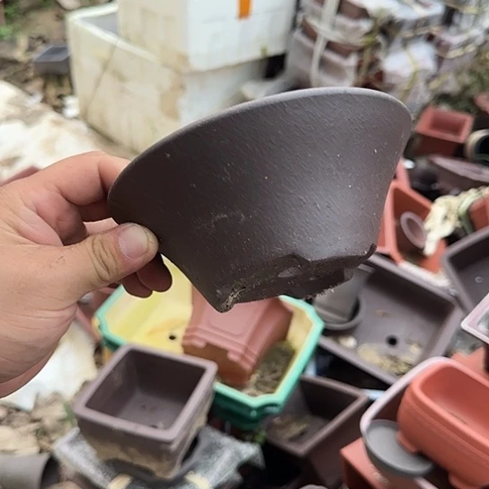 你就在家里吃好吧亲爱你不在