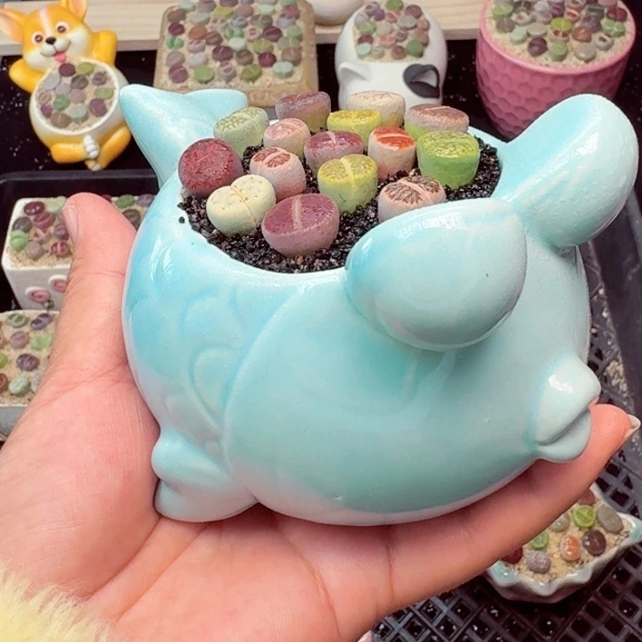 7022零下地区记得拍保温箱