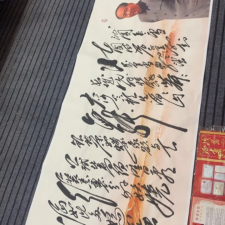 书法冯伟老师新款雪8