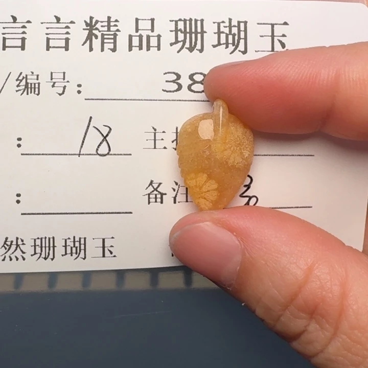 ****️硅化玉合金颈饰珊瑚玉