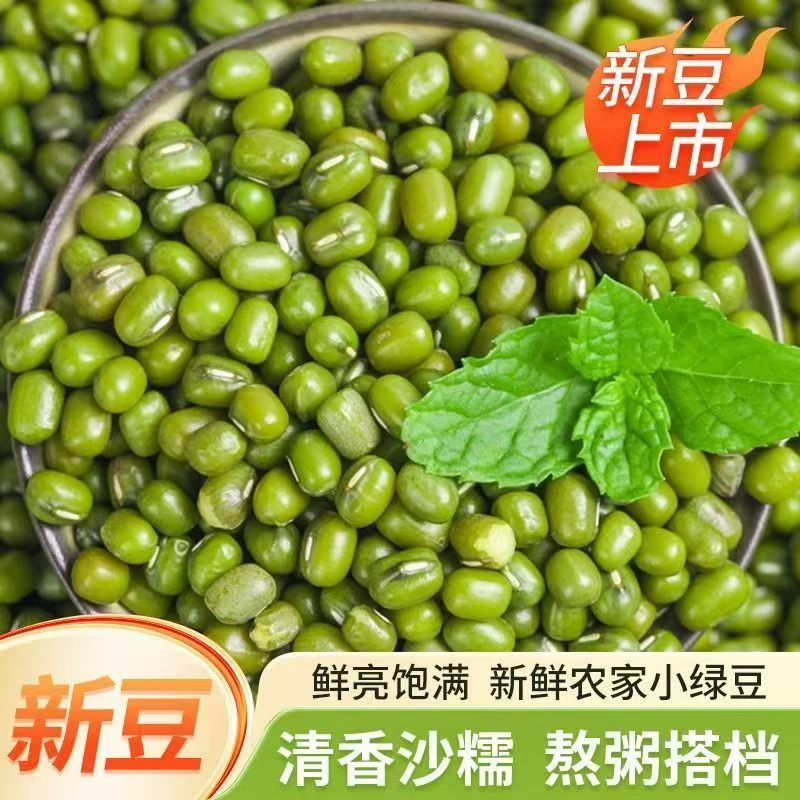 臻颗粒 小绿豆新农家东北绿豆粥解暑绿豆汤五谷杂粮发豆芽绿豆糕