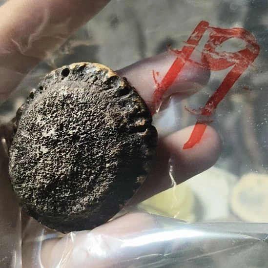 可***以非金属无鹿角鹿角鹿角鹿角鹿角鹿角
