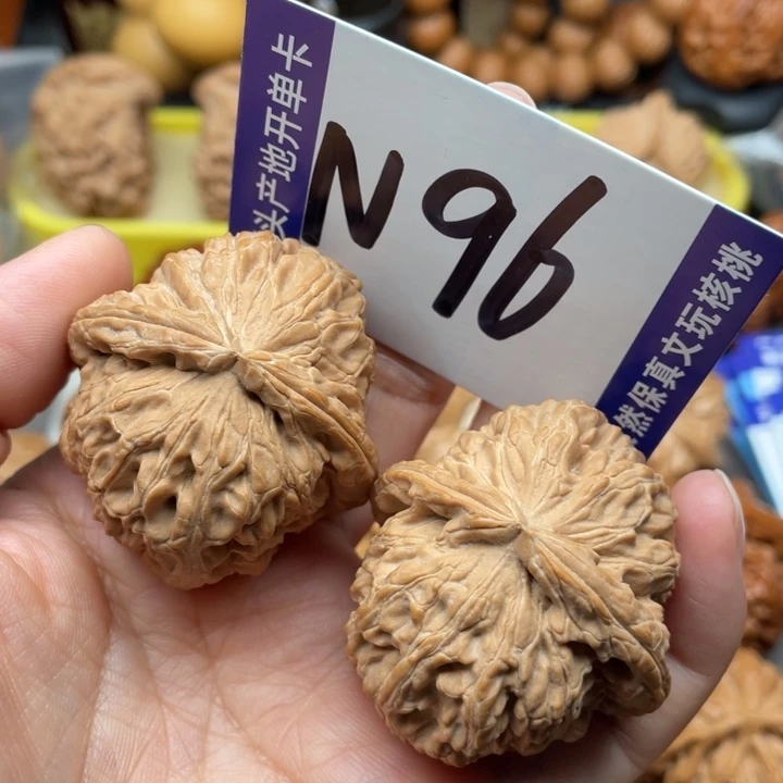 文玩核桃把件白狮子41尺