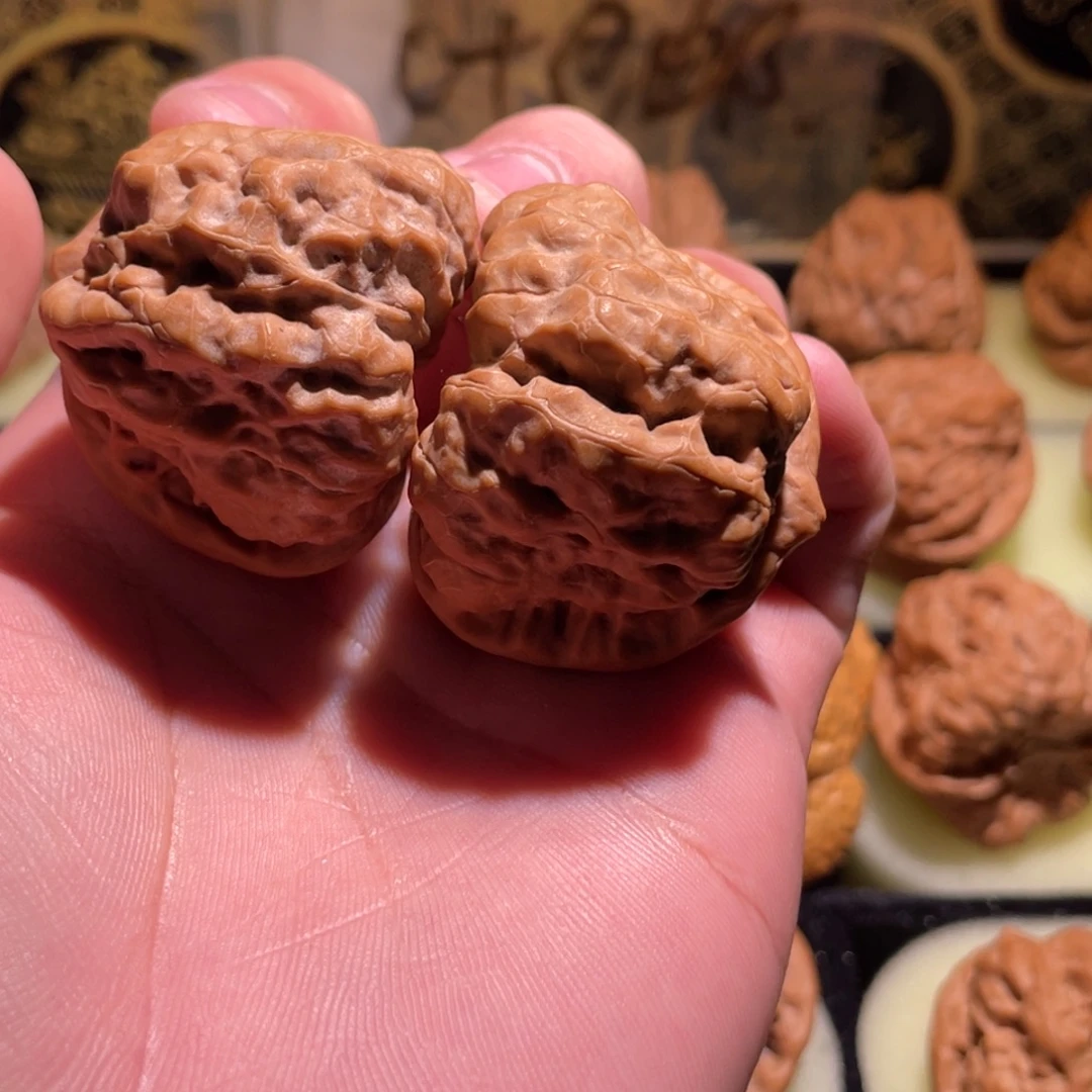 夏***鸣延庆一代蛤蟆头山地