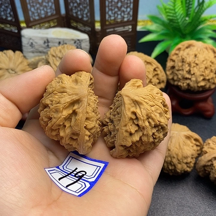 文玩核桃把件41蛇头