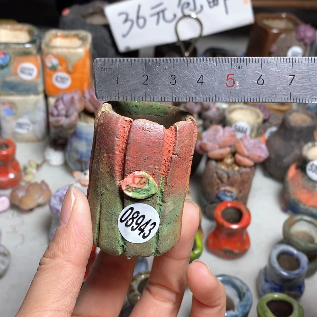 多肉花盆拍5送一个小礼物