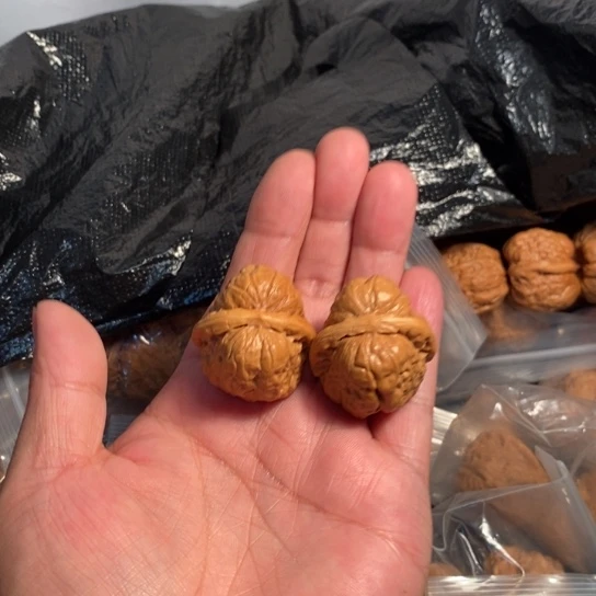 H***菠文玩核桃把件哈哈