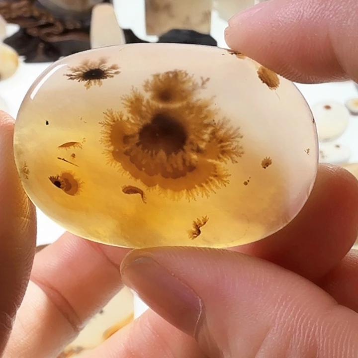 未镶嵌玛瑙/玉髓珠宝半成品