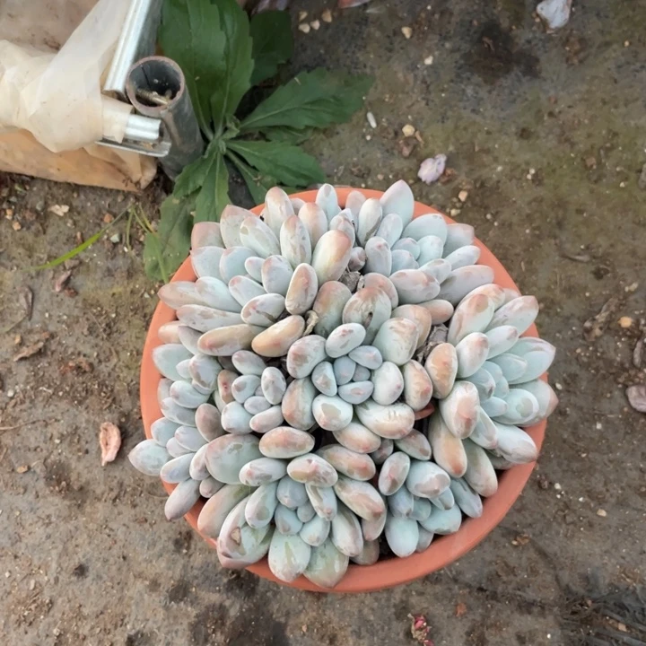 *****哈哈哈哈哈哈哈哈哈哈哈