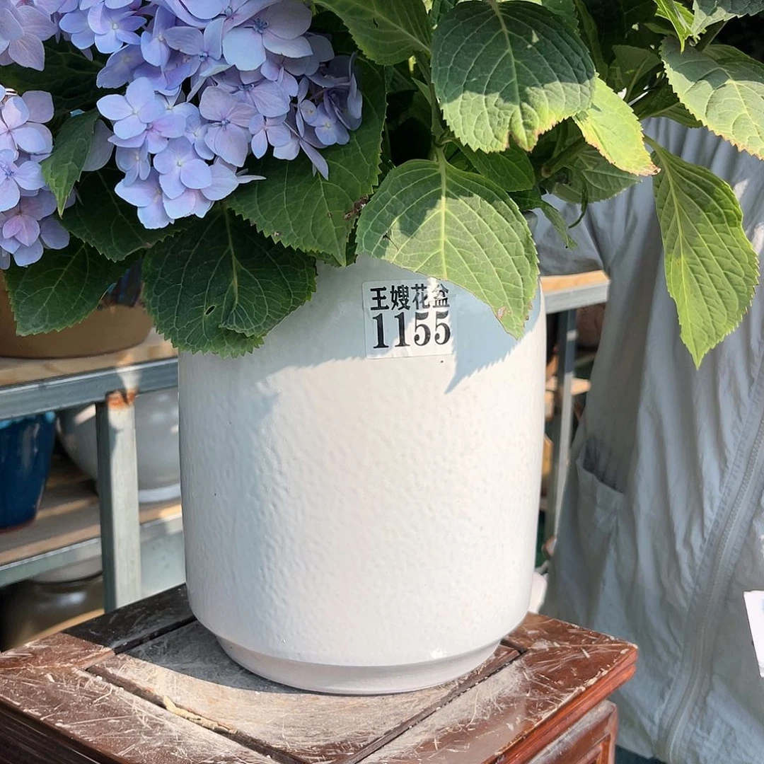 王嫂花盆直播0530-684