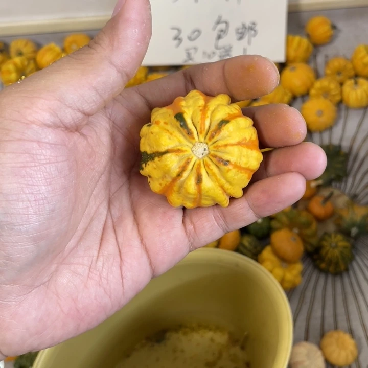 进***子111111111111111111111