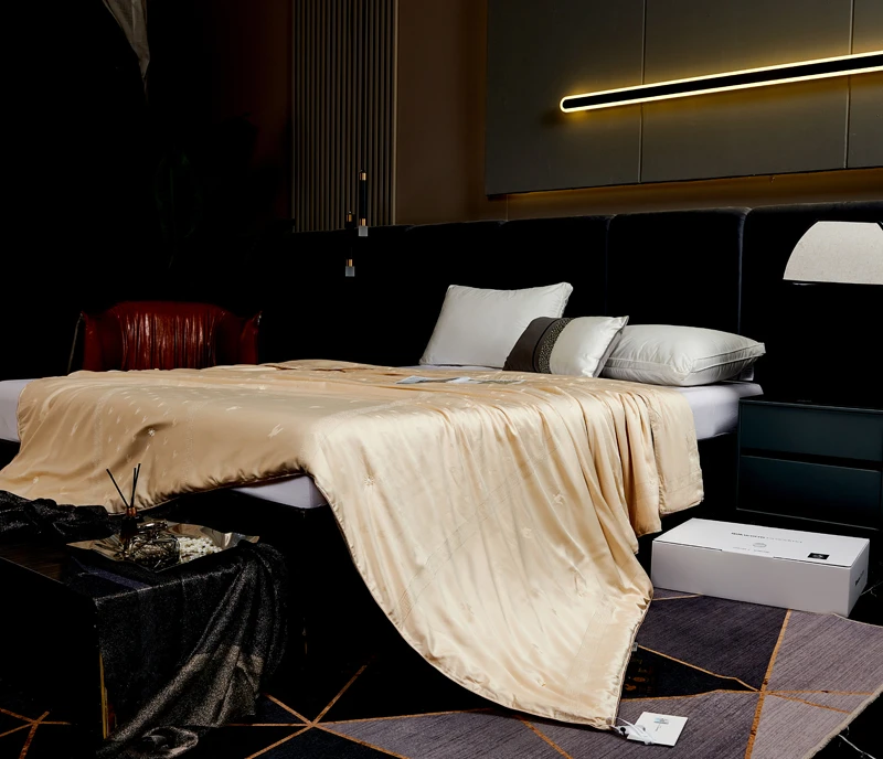 【阿婆】高端A类100%纯蚕丝被 春秋被冰凉夏凉被空调被双人被