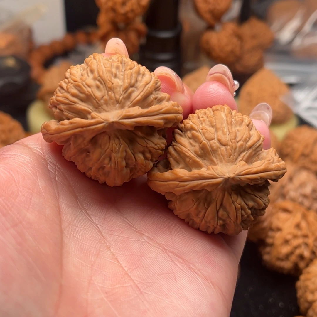 核桃把件白狮子40