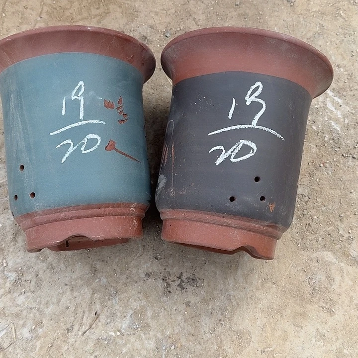 紫色西装搭配蓝色牛仔衬衫白色牛仔外套白色