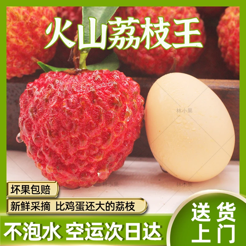 【辽选好物官推荐】海南 荔枝王 全甜 颗颗甄选 净重约500g 箱装 顺丰包邮送货上门 荔枝  单果40g 左右