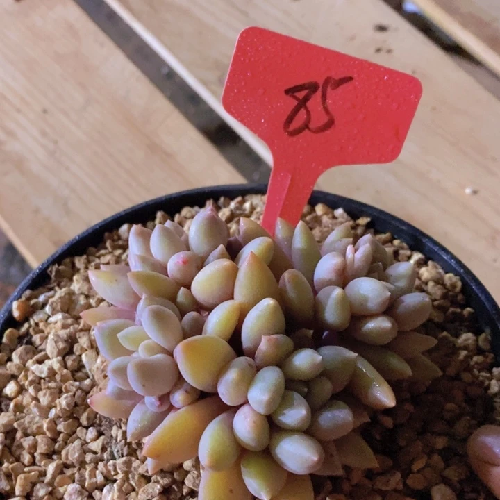 这么久不回来也没什么