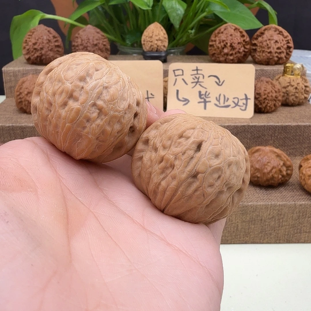 全品铁锤40/40/34