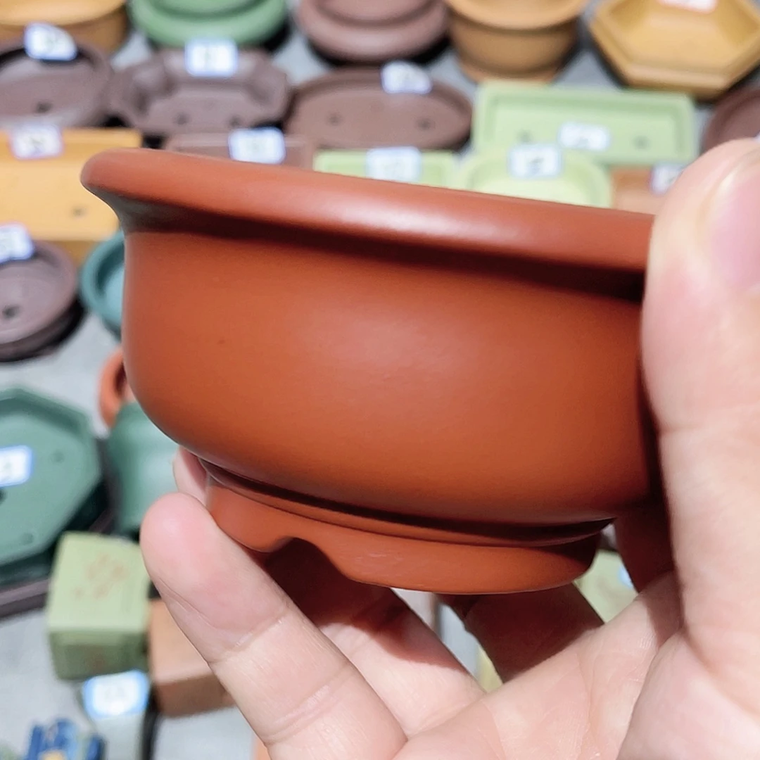 紫砂小盆8*4cmmmm