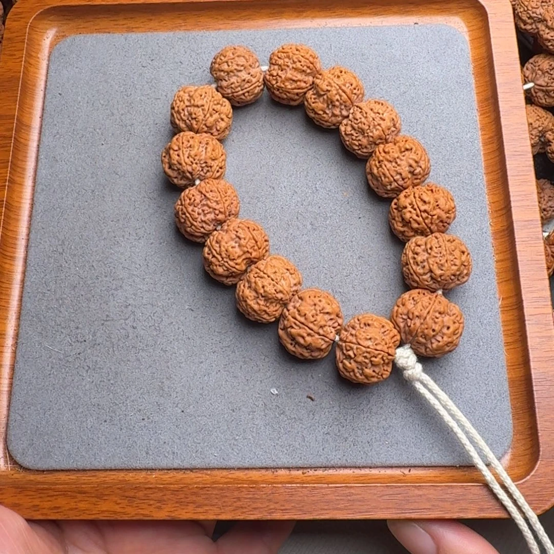 菩提20号尼泊尔大金刚21满肉梅花