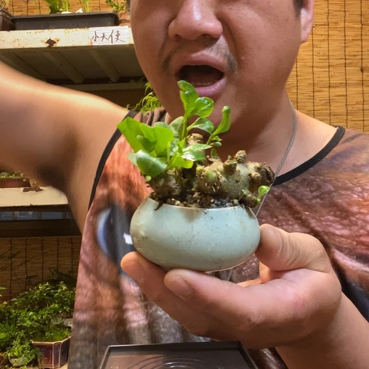 一物一拍所见即所得359