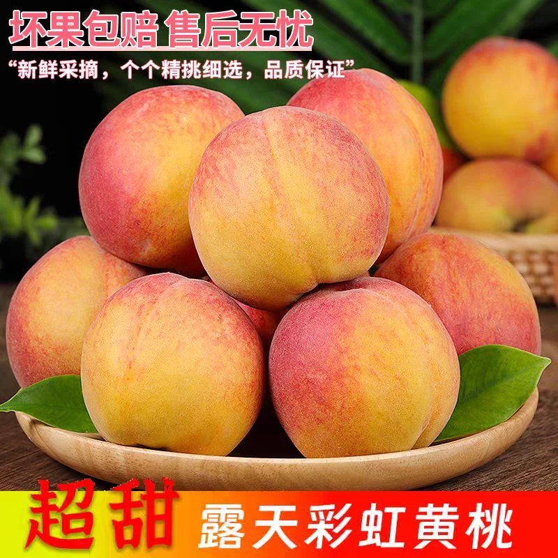 彩虹黄桃【顺丰包邮】山东露天黄金蜜桃脆软两吃果园直发