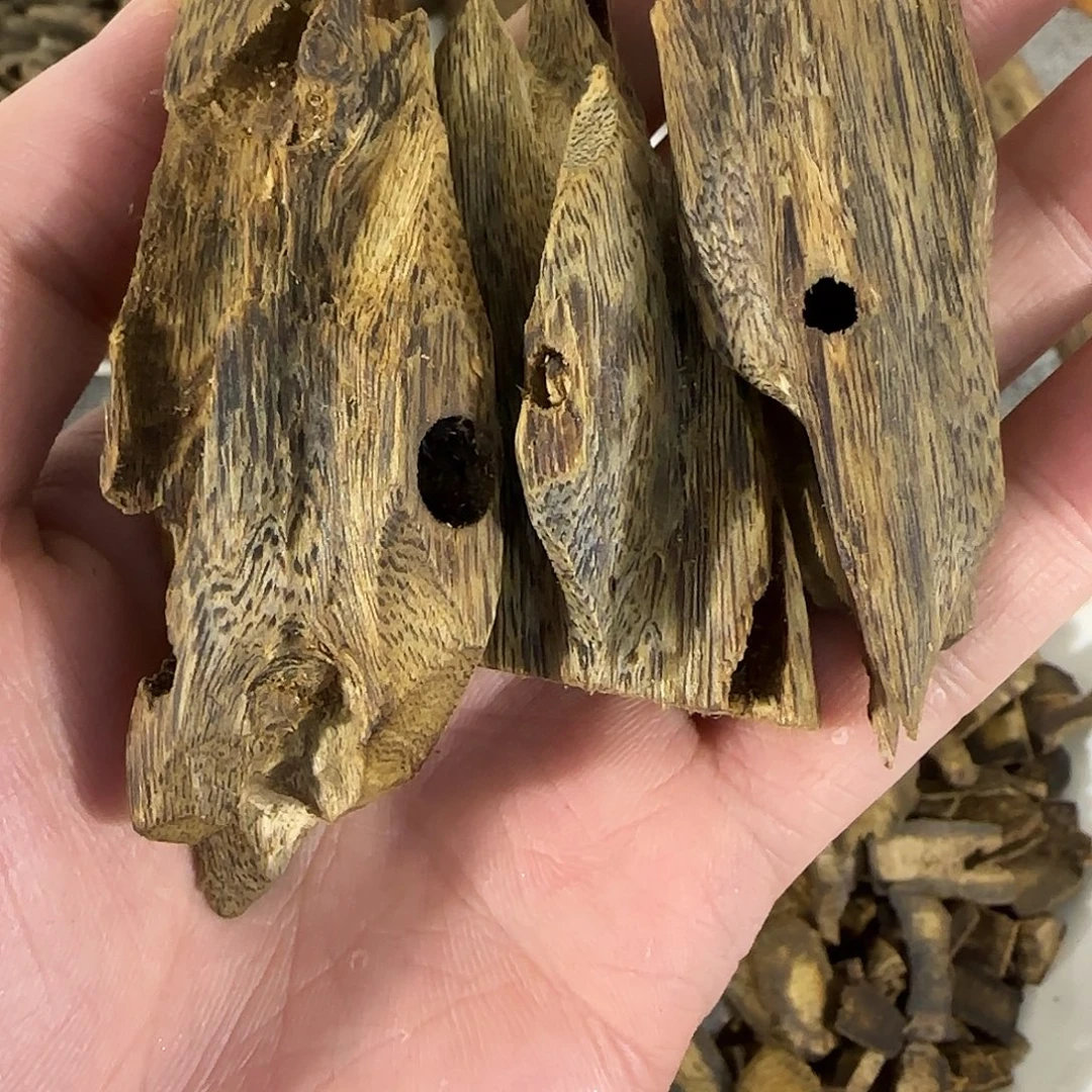沉香碎屑沉香老白棋虫漏原材料35g