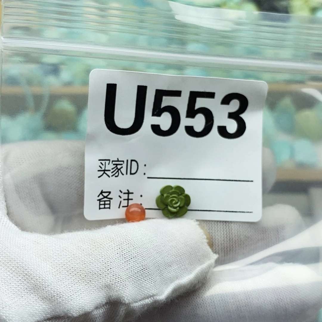 l***糖未镶嵌配饰南红玛瑙