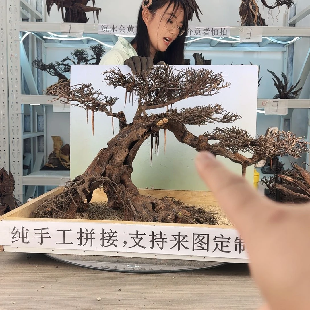 甲***理沉木造景沉木造景