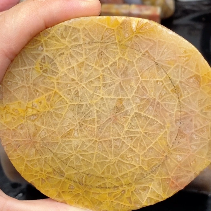 硅化玉手镯未镶嵌