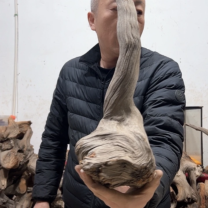 柏木木****店我们都是好孩子呀我也是