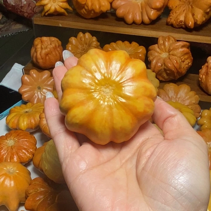 @***星微瑕花花放漏不退不换