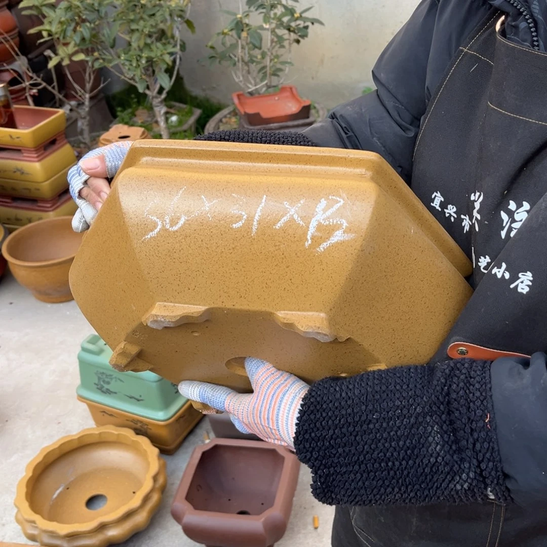 紫砂花盆盆景艺术