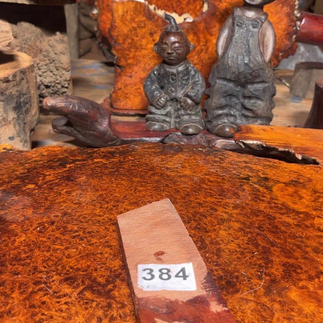 大果紫檀（缅甸花梨）