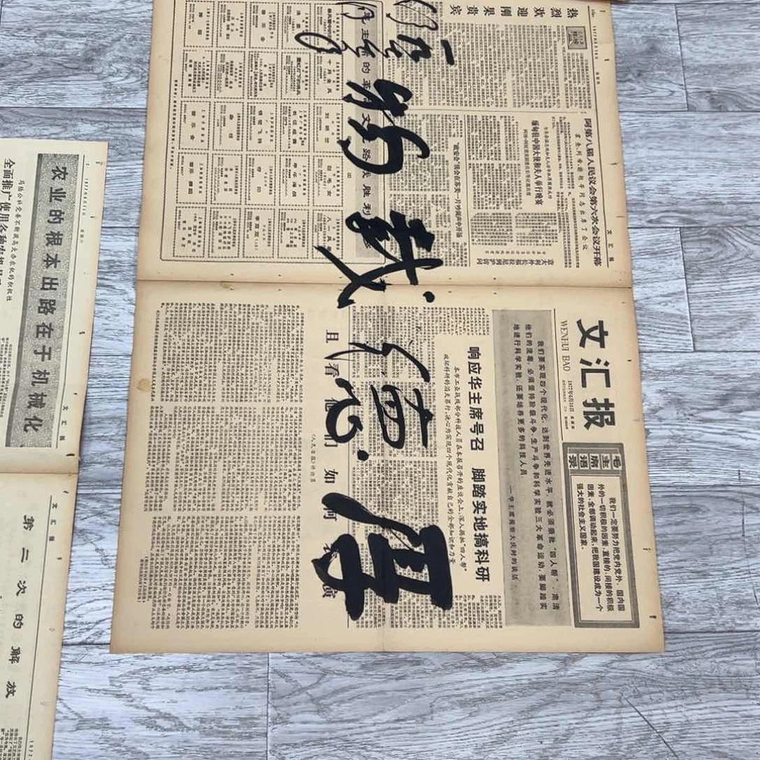 书法用****5书法精品一副