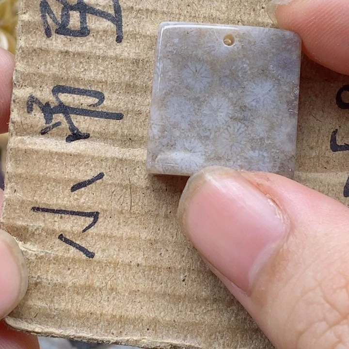 颈饰未镶嵌硅化珊瑚(珊瑚玉)0**4