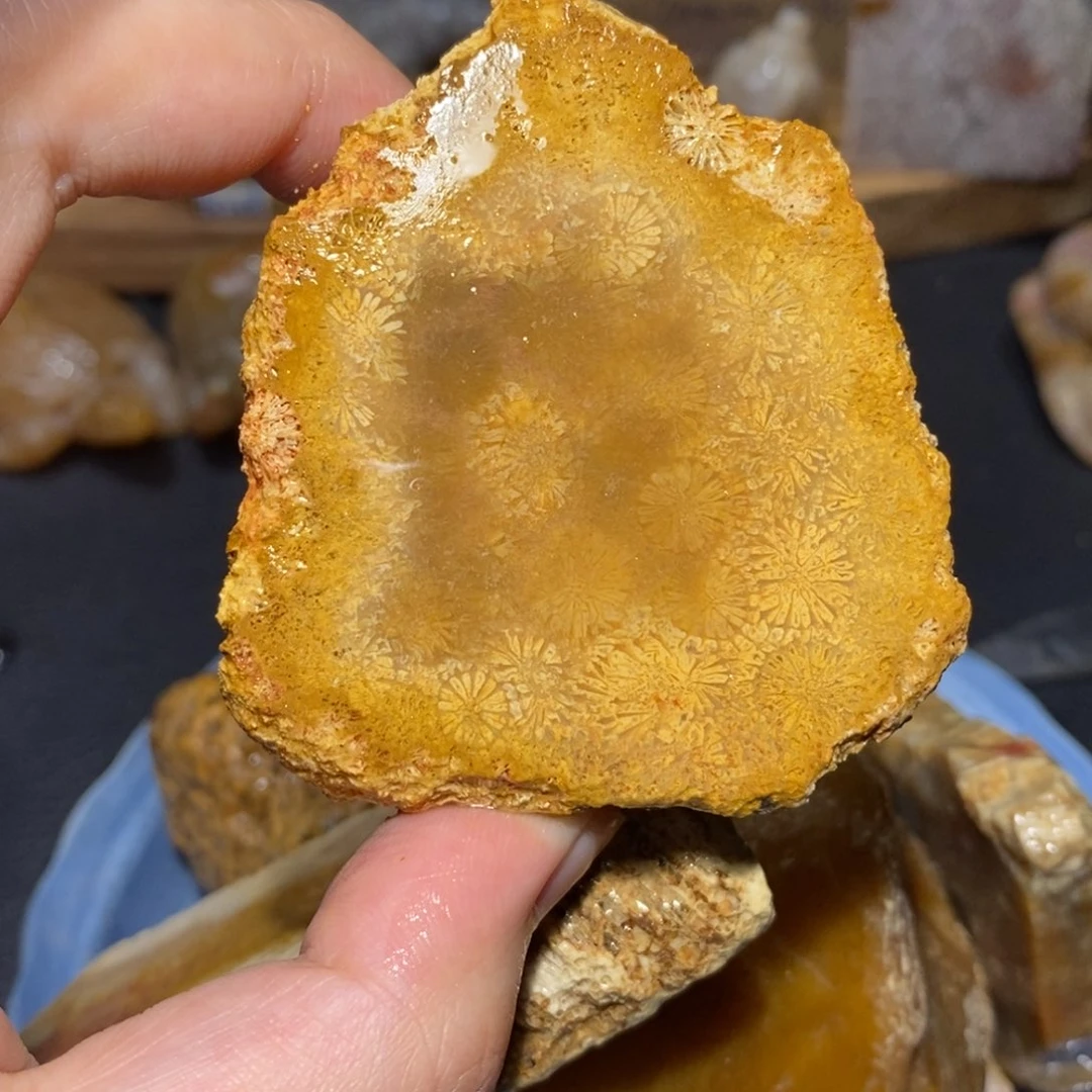 【闪购商品】硅化玉颈饰未镶嵌